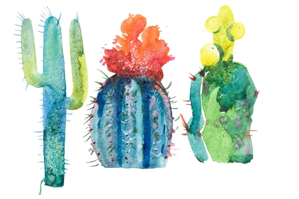 Aquarel hand getekende stekelige bloei Cactusbloem — Stockfoto