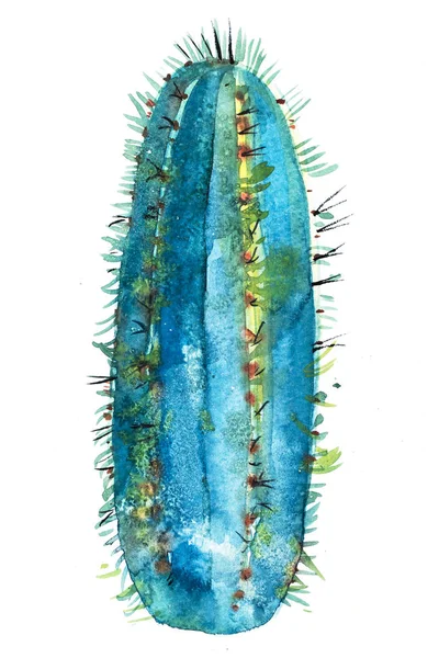 Suluboya el çekilmiş dikenli kaktüs çiçek — Stok fotoğraf