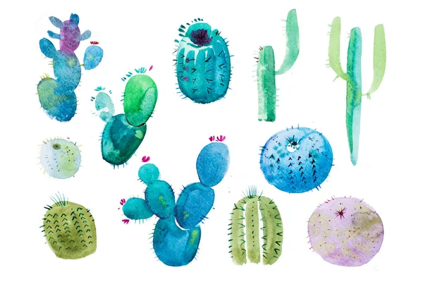 Aquarelle dessinée à la main fleur de cactus pointu . — Photo