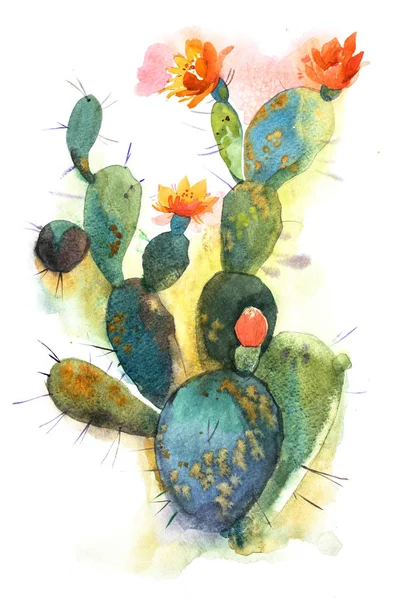 Watercolor hand drawn spiky cactus bloom flower — Stock Photo, Image