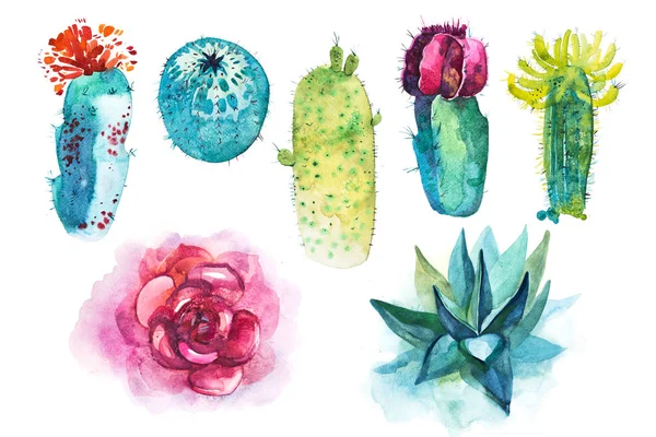 Aquarelle Dessinée Main Fleur Cactus Pointu — Photo