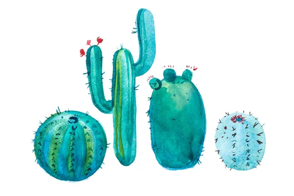 Fiore di cactus appuntito disegnato a mano acquerello . — Foto Stock