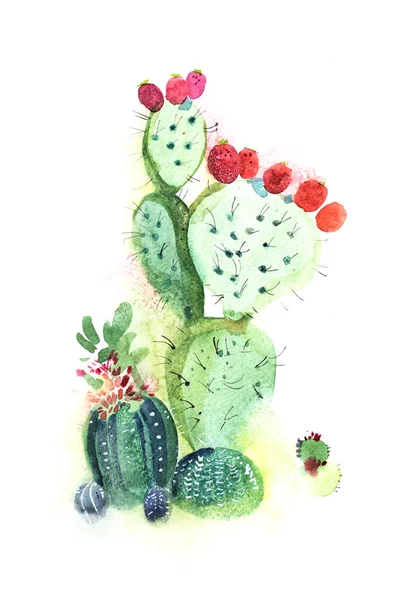 Watercolor hand drawn spiky cactus bloom flower — Stock Photo, Image