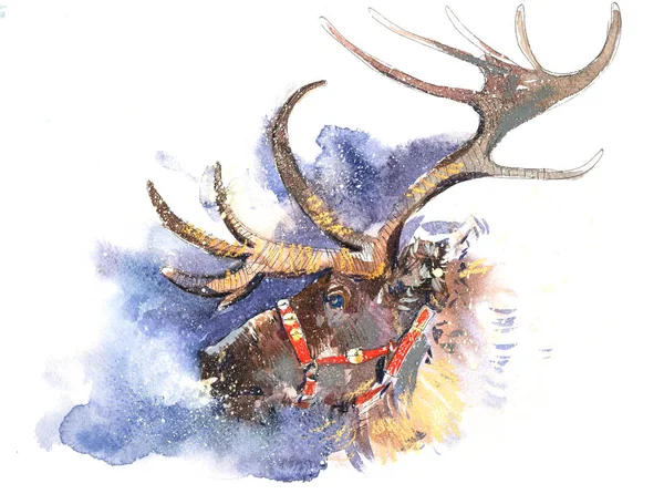 Weihnachten Weihnachtsmann Hirsch Märchenbild im Schneefall Aquarell Illustration — Stockfoto