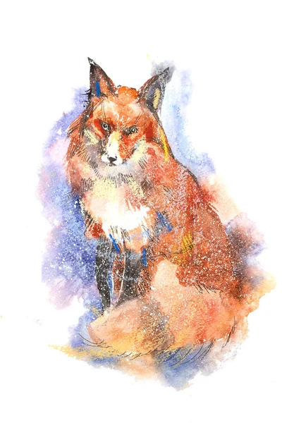 Zimowe portret red fox akwarela, ilustracja. — Zdjęcie stockowe