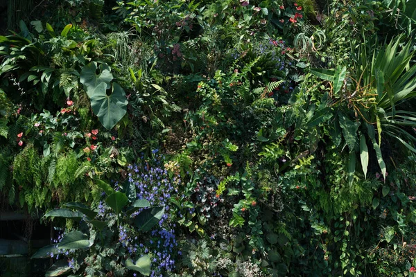 Sommar blomma bakgrund. Naturscen med blommande blommor, vårblommor, vacker fruktträdgård. — Stockfoto