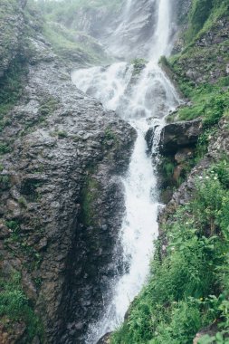 Ormanda Şelale, doğal peyzaj pitoresk sahne