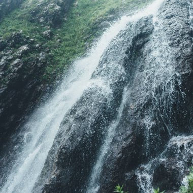 Ormanda Şelale, doğal peyzaj pitoresk sahne