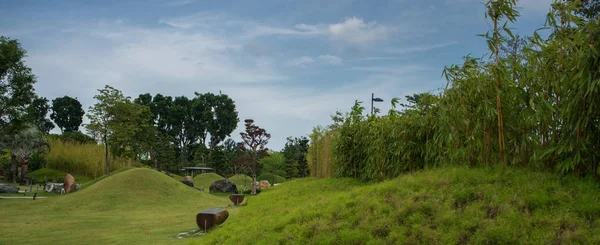 Beautiful panorama of green city park. Landscape, background — Stock Photo, Image