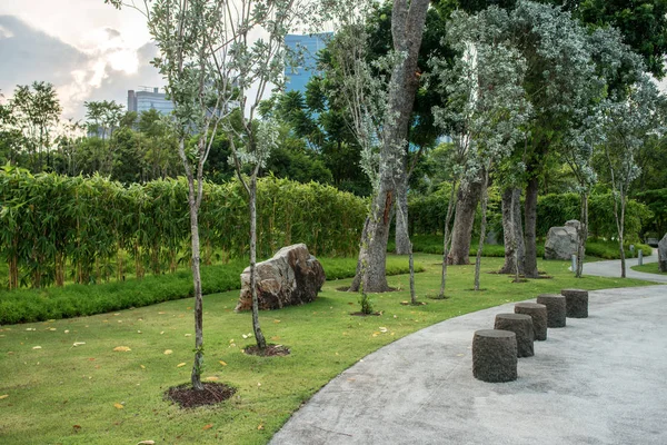 Green urban city park. Trees, grass, footway — Stock Photo, Image