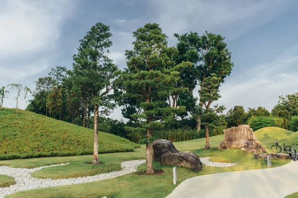 Landscape of grass field and green environment public park. Natural background. — Stock Photo, Image