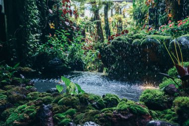 Yeşil yapraklar arka plan. Doğal tropikal arka plan doğa orman yaprakları.