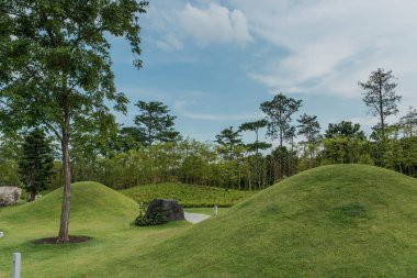 Yeşil çimleri olan güzel bir manzara, iyi bir bakım parkındaki küçük tepeler.