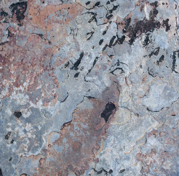 Telhas de pavimentação em forma de quadrado decorativo. Fundo, texturas imitando pedra natural — Fotografia de Stock