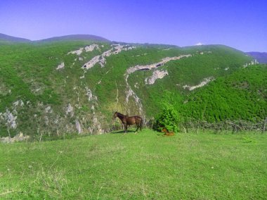 horsel dağın Batı Gürcistan