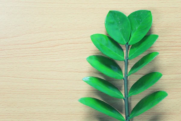 Hojas Color Verde Brillante Colocan Suelo Madera Marrón Tienen Espacio —  Fotos de Stock