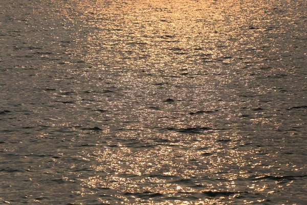 altın altın bokeh için senin iş zemin tasarımında deniz yüzeyi ile.