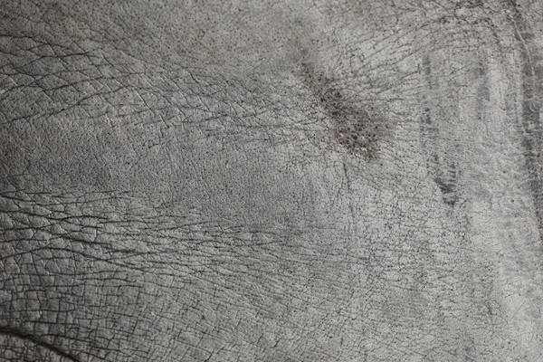 Fil deri deri arka plan doku kavramı çalışmalarında tasarım yüzeyine.