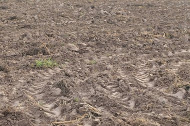 Pulluk tropikal Tayland kırsal alanlarda sonra dikim için boş arazi.