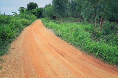 Ülkede yol boş ve orada hava şekilde ağaçta havadar.