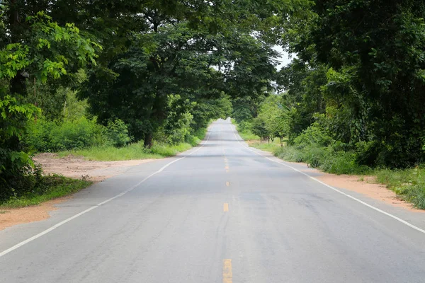 昼間の間に両側に木がある田舎道 — ストック写真