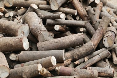 Yakıt, kauçuk ağacı ahşap yapmak koymak için yakacak odun yığını.