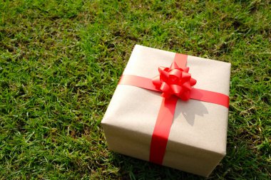 Brown Hediyelik Noel, yılbaşı, Sevgililer günü veya yıldönümü gün için yeşil çimenlerin üzerine kutu ve iş kavramı tasarımında için kopya alanınız.