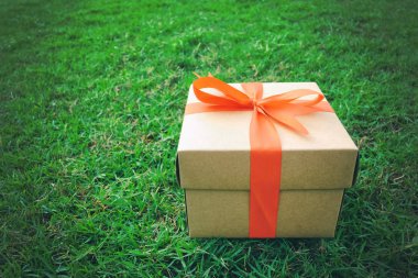 Brown Hediyelik Noel, yılbaşı, Sevgililer günü veya yıldönümü gün için yeşil çimenlerin üzerine kutu ve iş kavramı tasarımında için kopya alanınız.