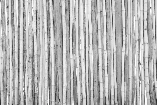 Biała drewniana ściana ogrodzeniowa budowy wiejskiego lasu. — Zdjęcie stockowe