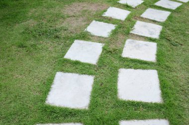 Slabs ile arka bahçesinde Walkway.