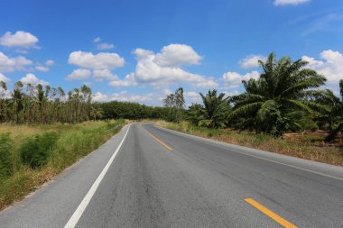 Mavi gökyüzünde gündüz vakti ağaçların olduğu kırsal yol..