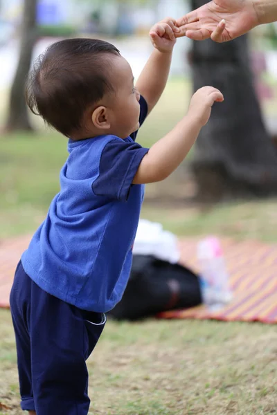 Asiático Chico Está Aprendiendo Caminar Jardín Ternura Del Niño —  Fotos de Stock