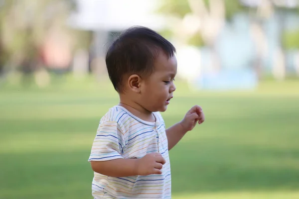 Asiático Chico Está Aprendiendo Caminar Jardín Ternura Del Niño —  Fotos de Stock