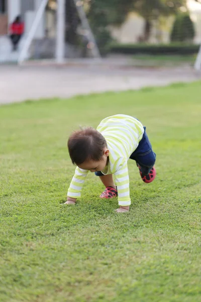 Asiático Chico Está Aprendiendo Caminar Jardín Ternura Del Niño —  Fotos de Stock