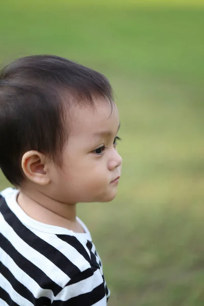 Asiático Chico Está Aprendiendo Caminar Jardín Ternura Del Niño —  Fotos de Stock