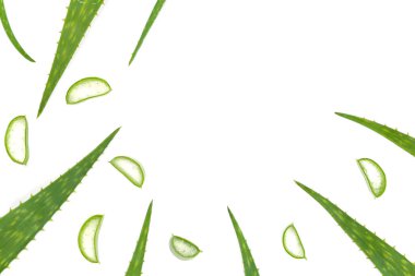 Aloe vera beyaz arkaplanda izole edilmiş olarak bırakır ve kopyalama alanına sahip.