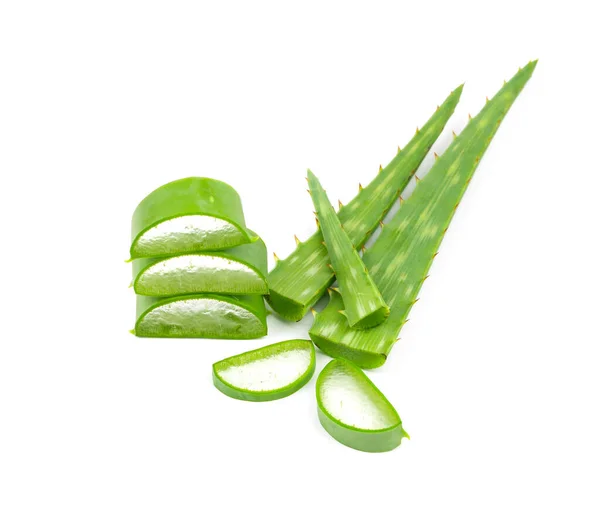 Aloe Vera Leaves Isolated White Background Have Copy Space — Stock Photo, Image