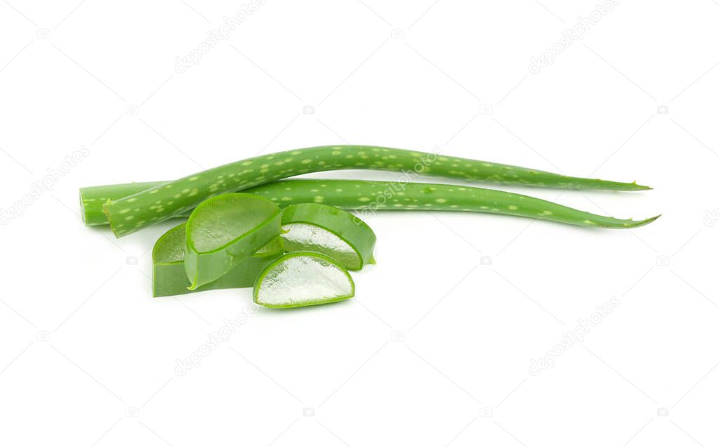 Aloe vera leaves isolated on white background and have copy space.