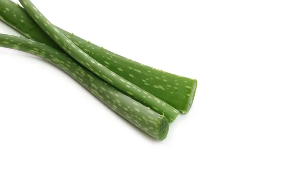 Čerstvé Listy Aloe Vera Izolované Bílém Pozadí — Stock fotografie
