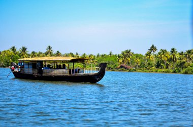 Alleppey (Alappuzha) önemsizden Kerala, Hindistan içinde mini tekne-evi güzel manzarasına. Hindistan cevizi ağaçları ve mavi gökyüzü ve önemsizden arka planı vurdu.