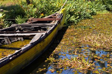 abandoned yellow fishing boat in backwaters of kerala