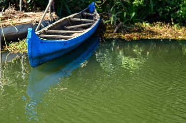 blue colored private fishing boat parked in kerala backwaters