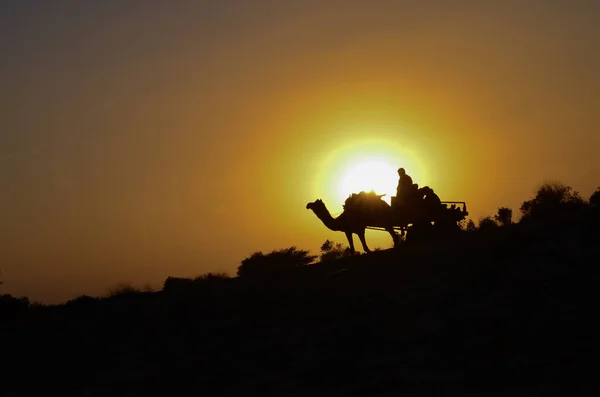 Silhouette of a camel cart in Sam sand dunes, Thar desert, near Jaisalmer. Located in the midst of the Thar Desert, these sand dunes are amongst the most famous ones in Rajasthan, India.