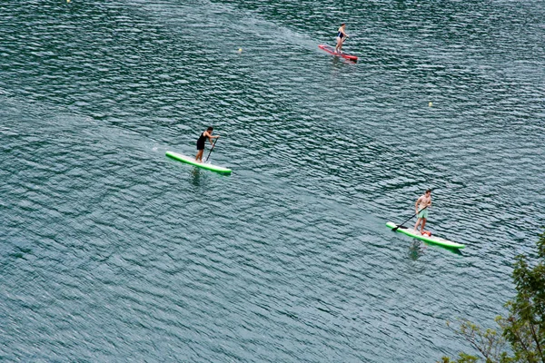 Vista Aérea Tres Identificados Pie Paddle Boarders Lago Lago Bled —  Fotos de Stock