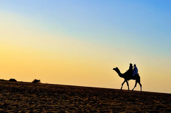 Silhouette Chameau Transportant Des Touristes Dans Les Dunes Sable Sam — Photo
