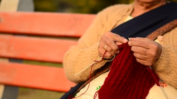 Dekat Dengan Seorang Wanita India Senior Merajut Sweater Merah Marun — Stok Video