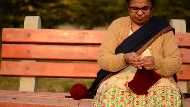 Mujeres Indias Mayores Tejiendo Suéter Granate Parque Delhi India — Vídeo de stock