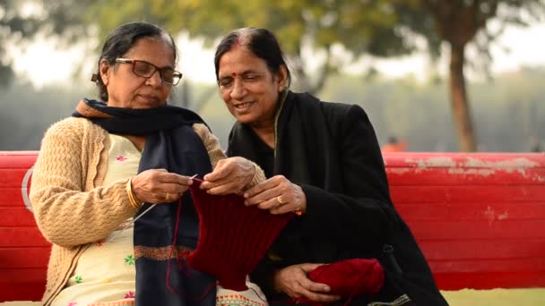 ニット セーターやデリー インドの冬の公園でニコニコする方法を議論する つの上級インドの女性 — ストック動画
