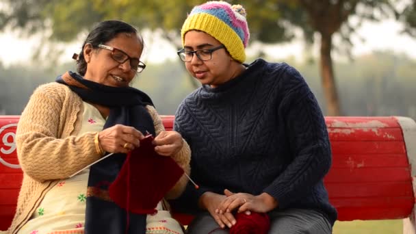 Menina Aprendendo Tricotar Camisolas Sua Mãe Senhora Sênior Sorrindo Parque — Vídeo de Stock
