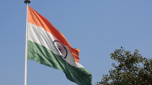 Indian National Flag Tricolor Fluttering Unfurling Central Park Connaught Place — Stock Video